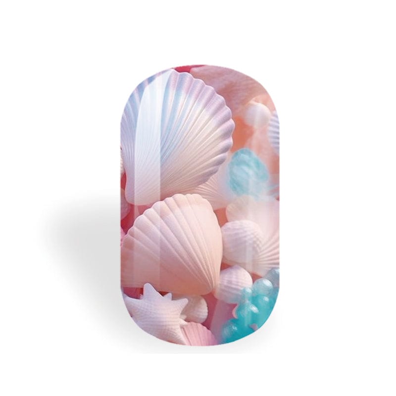 Boca Shells